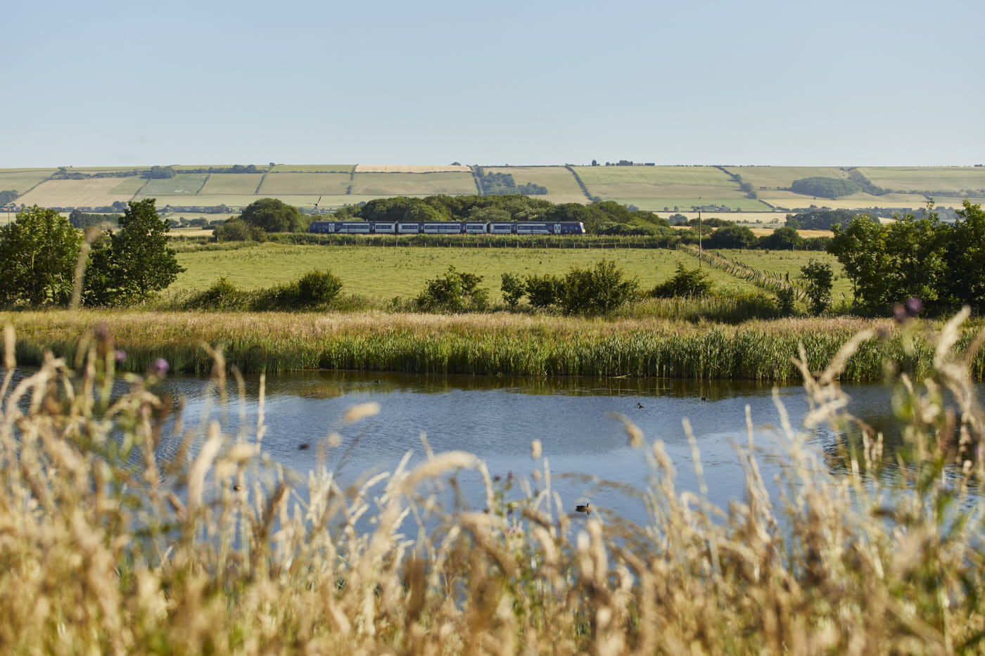 SCARBOROUGH BP_149_HR_LR