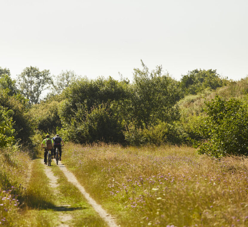 SCARBOROUGH-BP_123_HR_LR-aspect-ratio-825-755